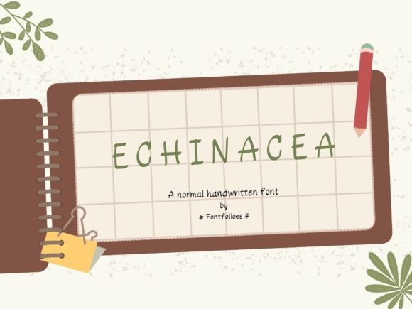 Echinacea Font: Playful Typography for Editorial Design