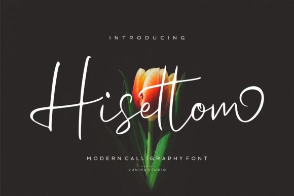 Hisettom: A Stylish Script Font for Modern Brand Campaigns