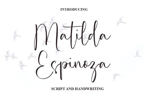 Matilda Espinoza: A Script Font That Brings Elegance to Branding Projects