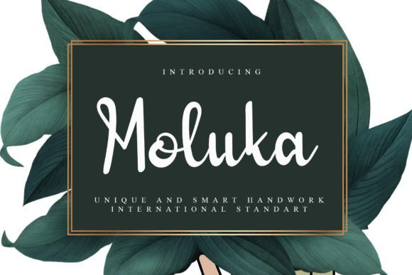 Moluka Font: Adding Quirky Charm to Brand Identity